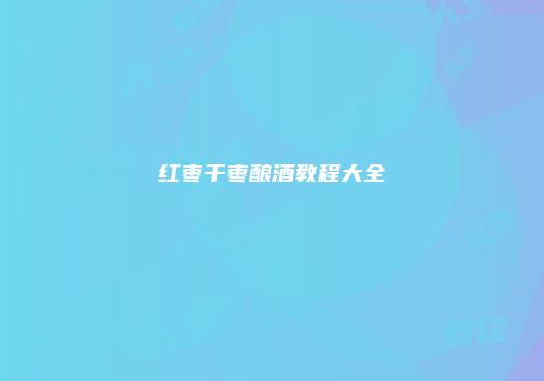 红枣干枣酿酒教程大全
