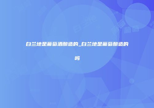 白兰地是葡萄酒酿造的_白兰地是葡萄酿造的吗