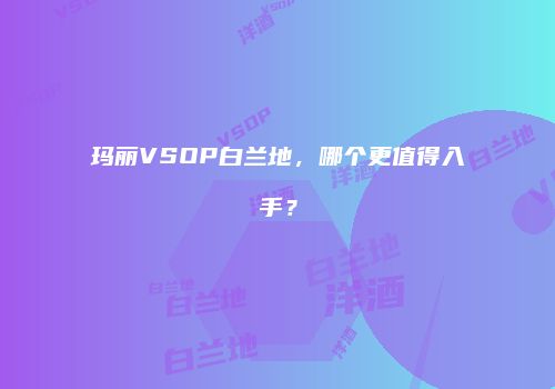 玛丽VSOP白兰地，哪个更值得入手？
