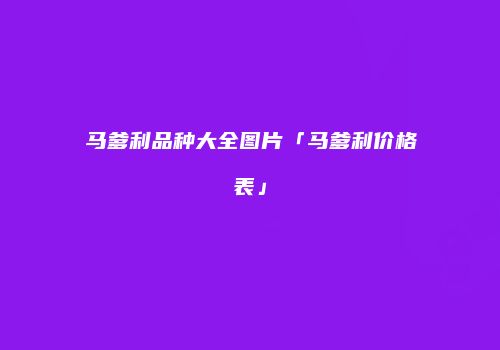 马爹利品种大全图片「马爹利价格表」