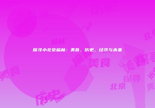 探寻小北京榆林：美食、历史、经济与未来