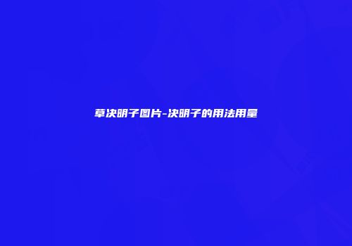 草决明子图片-决明子的用法用量