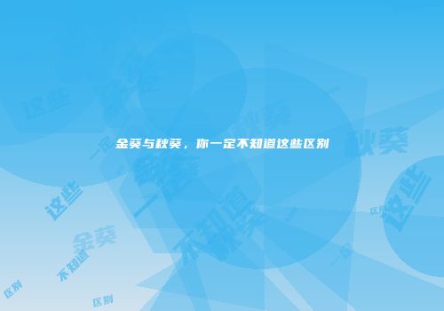 金葵与秋葵，你一定不知道这些区别