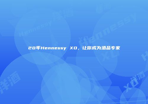 20年Hennessy XO，让你成为酒品专家