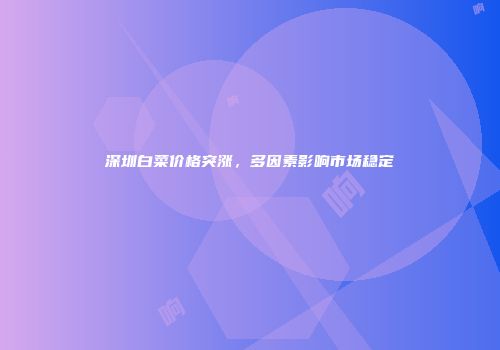 深圳白菜价格突涨，多因素影响市场稳定