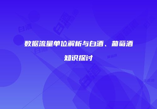 数据流量单位解析与白酒、葡萄酒知识探讨