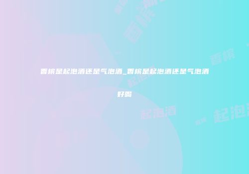 香槟是起泡酒还是气泡酒_香槟是起泡酒还是气泡酒好喝