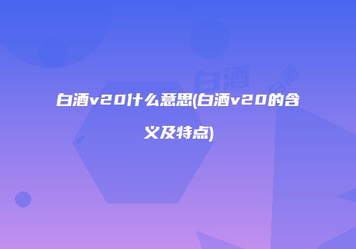 白酒v20什么意思(白酒v20的含义及特点)