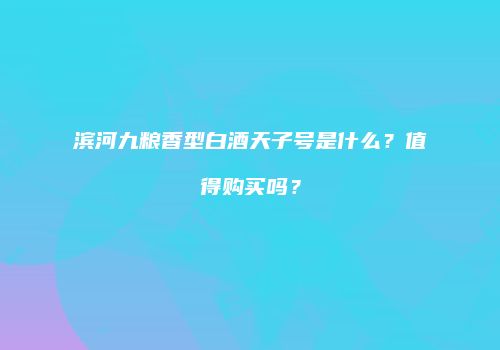 滨河九粮香型白酒天子号是什么？值得购买吗？