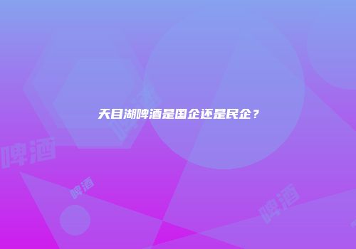 天目湖啤酒是国企还是民企？