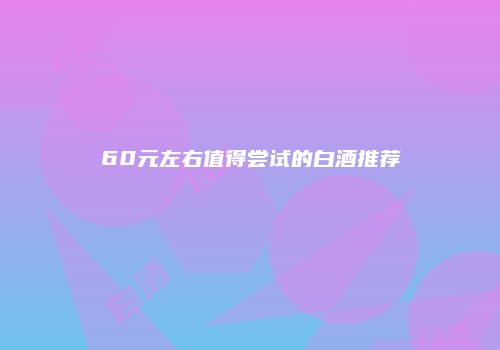 60元左右值得尝试的白酒推荐