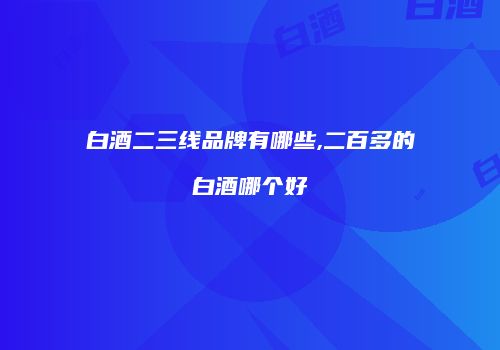 白酒二三线品牌有哪些,二百多的白酒哪个好