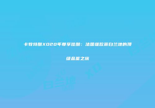 卡牧特酿XO20年尊享佳酿：法国维欧蒂白兰地的顶级品鉴之旅