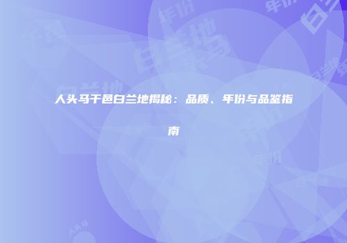 人头马干邑白兰地揭秘：品质、年份与品鉴指南