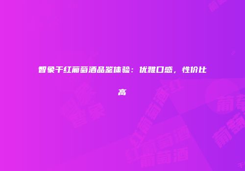 智象干红葡萄酒品鉴体验：优雅口感，性价比高