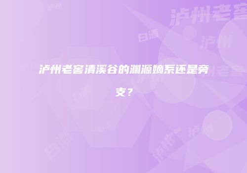泸州老窖清溪谷的渊源嫡系还是旁支？