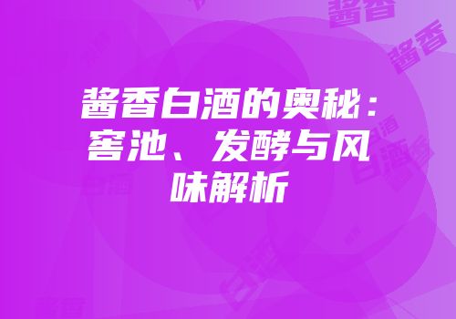 酱香白酒的奥秘：窖池、发酵与风味解析