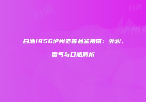 白酒1956泸州老窖品鉴指南：外观、香气与口感解析