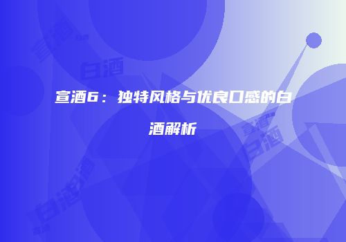 宣酒6：独特风格与优良口感的白酒解析