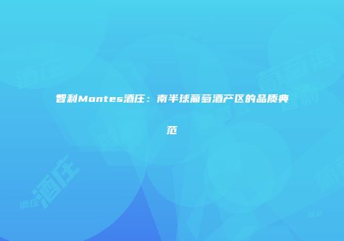 智利Montes酒庄：南半球葡萄酒产区的品质典范