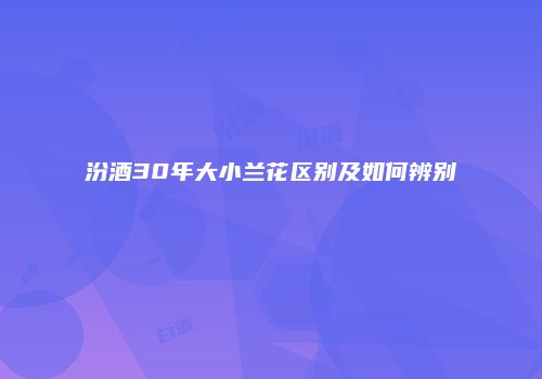 汾酒30年大小兰花区别及如何辨别