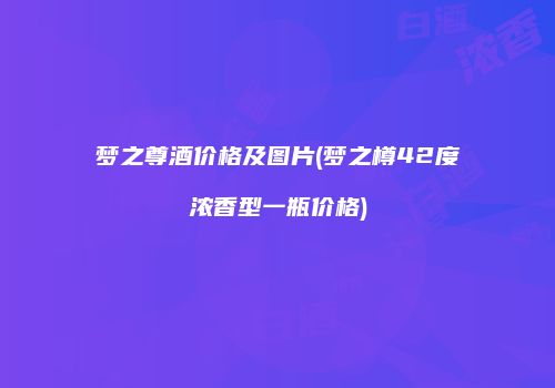 梦之尊酒价格及图片(梦之樽42度浓香型一瓶价格)