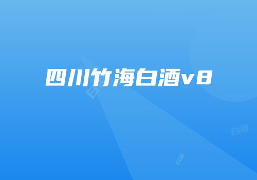 四川竹海白酒v8