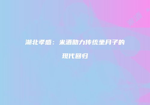 湖北孝感：米酒助力传统坐月子的现代回归