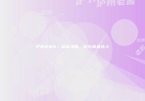 泸州老窖6：品味浓香，成为酒桌达人