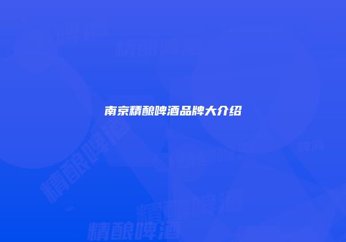 南京精酿啤酒品牌大介绍