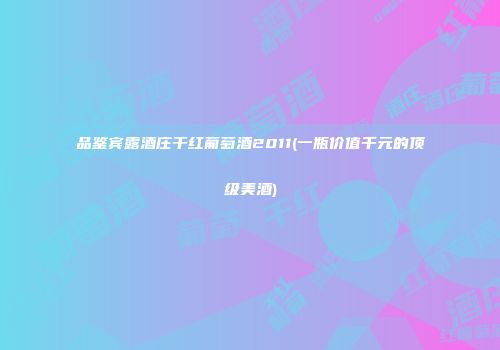 品鉴宾露酒庄干红葡萄酒2011(一瓶价值千元的顶级美酒)
