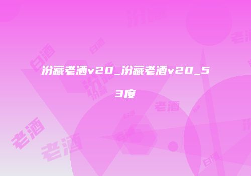 汾藏老洒v20_汾藏老酒v20_53度