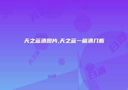 天之蓝酒图片,天之蓝一箱酒几瓶