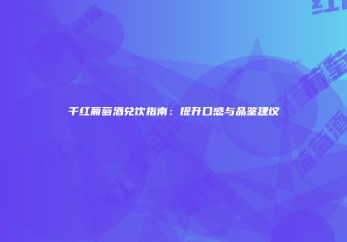 干红葡萄酒兑饮指南：提升口感与品鉴建议