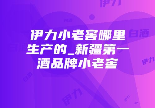 伊力小老窖哪里生产的_新疆第一酒品牌小老窖