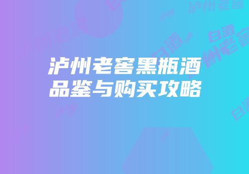 泸州老窖黑瓶酒品鉴与购买攻略