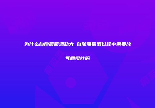 为什么自酿葡萄酒劲大_自酿葡萄酒过程中需要放气和搅拌吗
