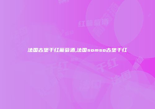 法国古堡干红葡萄酒,法国somso古堡干红