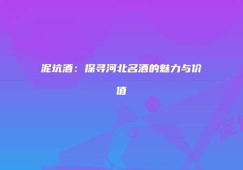 泥坑酒：探寻河北名酒的魅力与价值