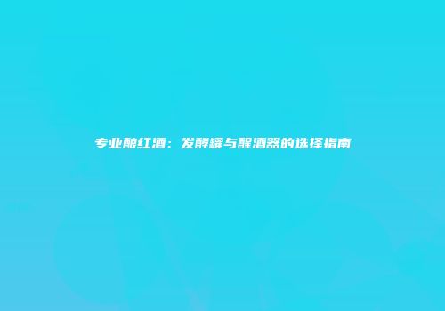 专业酿红酒：发酵罐与醒酒器的选择指南