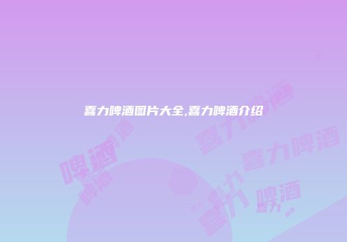 喜力啤酒图片大全,喜力啤酒介绍