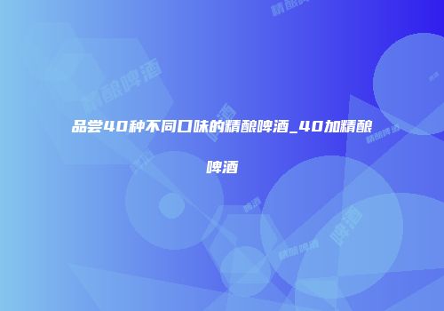 品尝40种不同口味的精酿啤酒_40加精酿啤酒