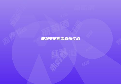 智利安第斯赤霞珠红酒