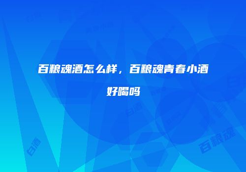 百粮魂酒怎么样，百粮魂青春小酒好喝吗