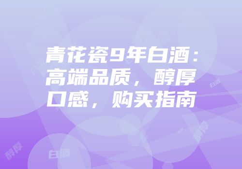 青花瓷9年白酒：高端品质，醇厚口感，购买指南