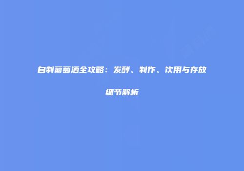 自制葡萄酒全攻略：发酵、制作、饮用与存放细节解析