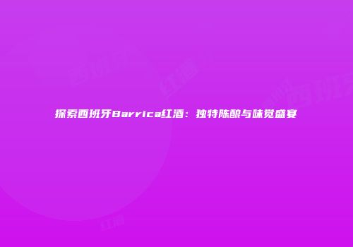 探索西班牙Barrica红酒：独特陈酿与味觉盛宴
