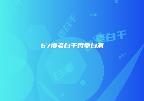 67度老白干香型白酒