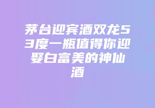 茅台迎宾酒双龙53度一瓶值得你迎娶白富美的神仙酒