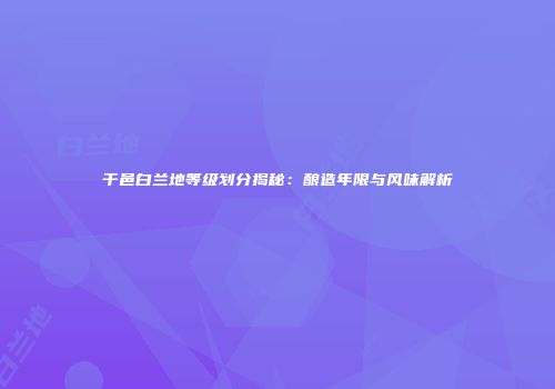 干邑白兰地等级划分揭秘：酿造年限与风味解析